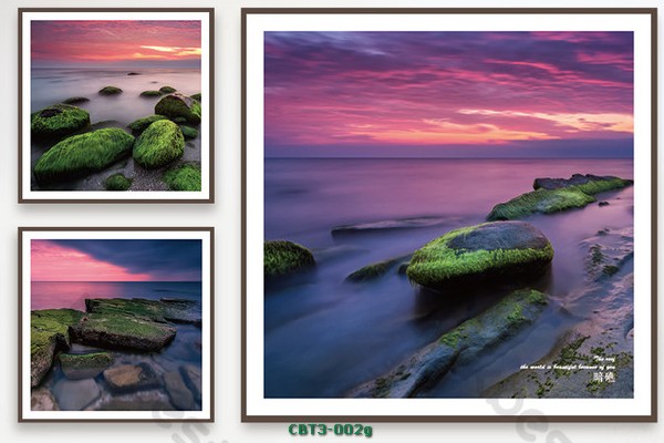 Ghềnh đá ven biển CBT3-002g